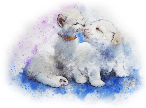 Aktuelles - Herztier.TV - Hund und Katze